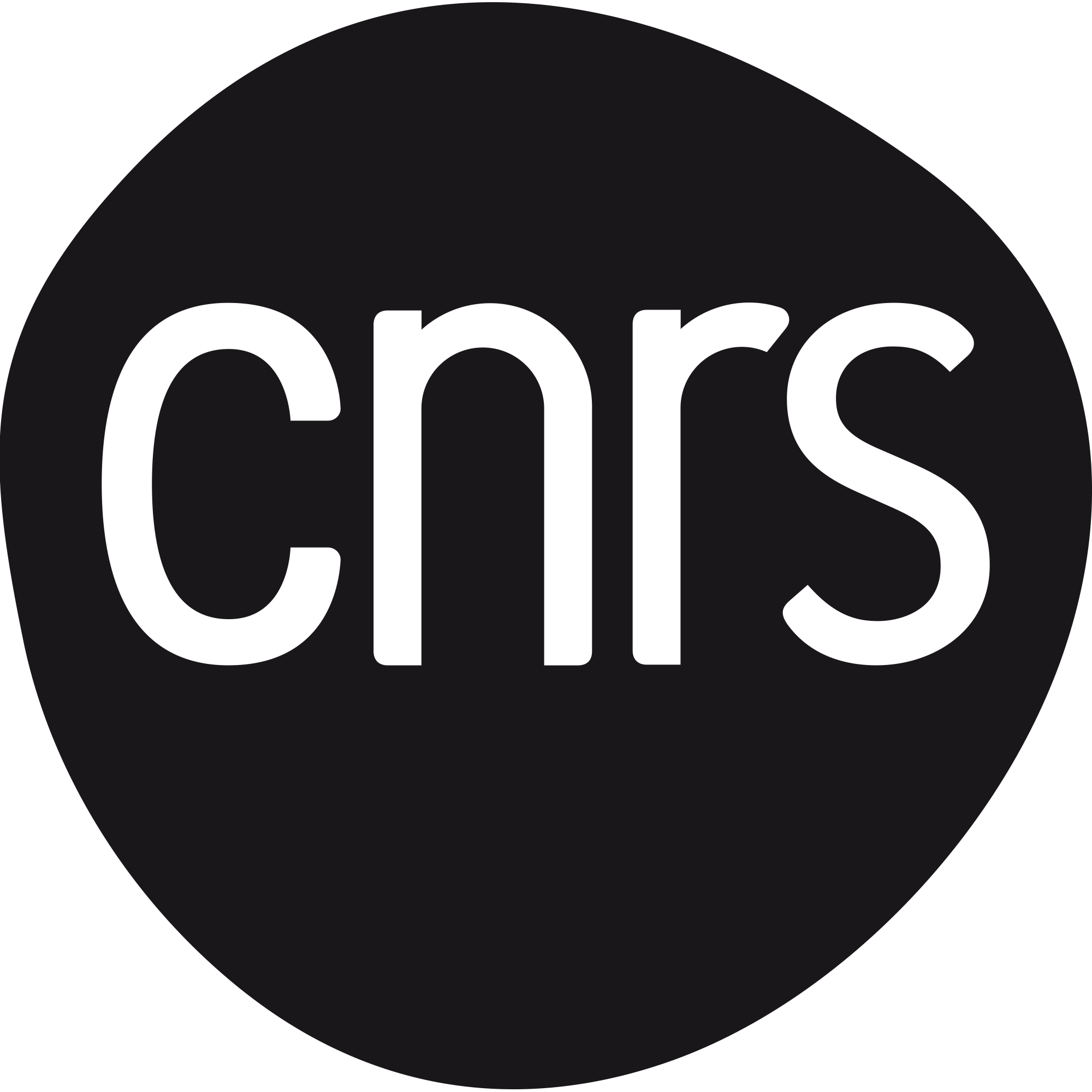 logo_cnrs_2019_noir.gif